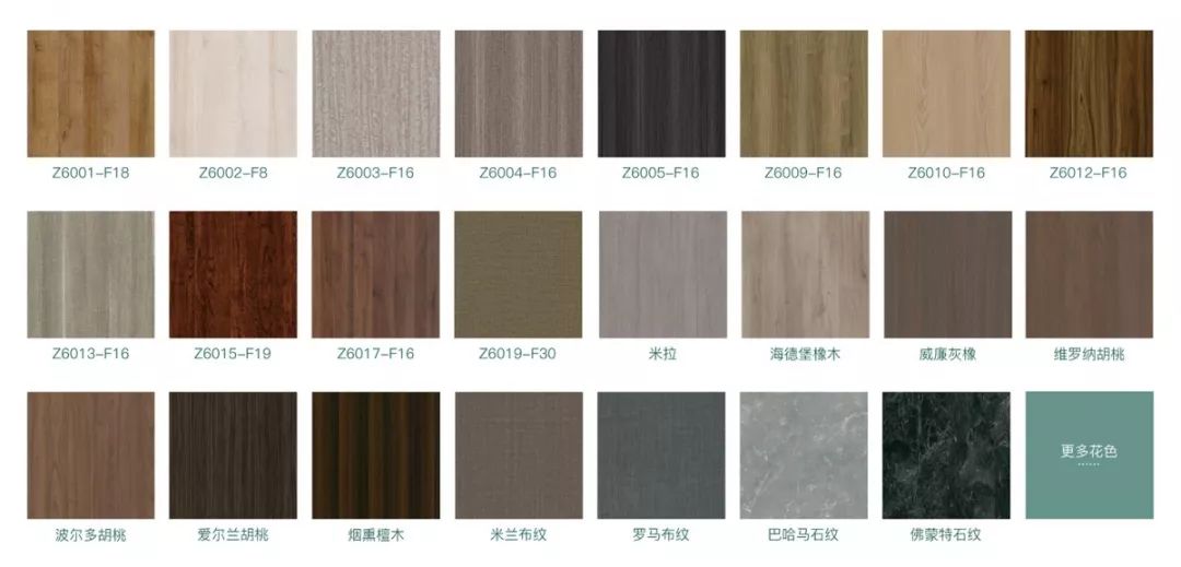 华洲·九段招商精英培训会：2020年完成100+加盟店(图3)