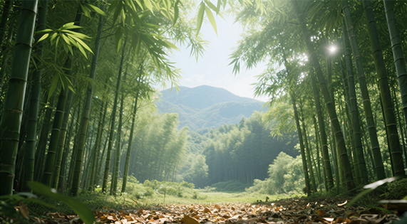 华洲竹馨板：从鲜竹到臻品，每一步都是工艺的极致追求