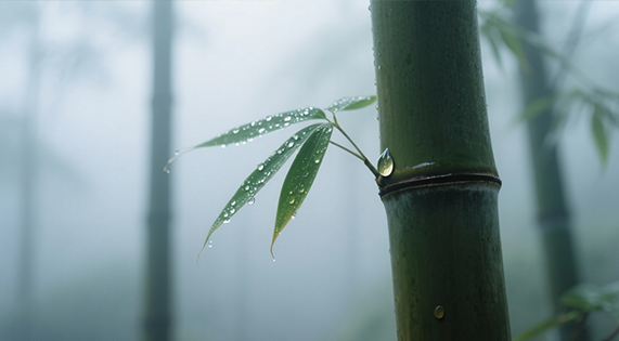 不与水争的温柔底气&mdash;&mdash;华洲竹馨板，解锁家居防潮的竹系智慧