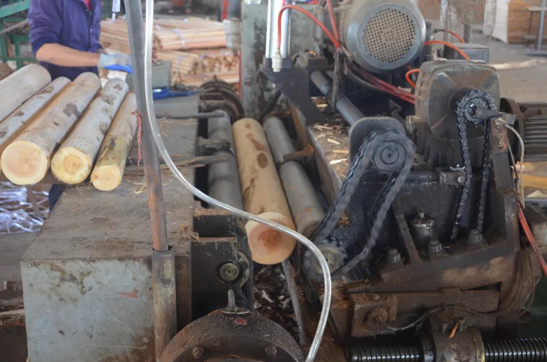 明星产品 | 华洲实木多层板诞生记!(图3)