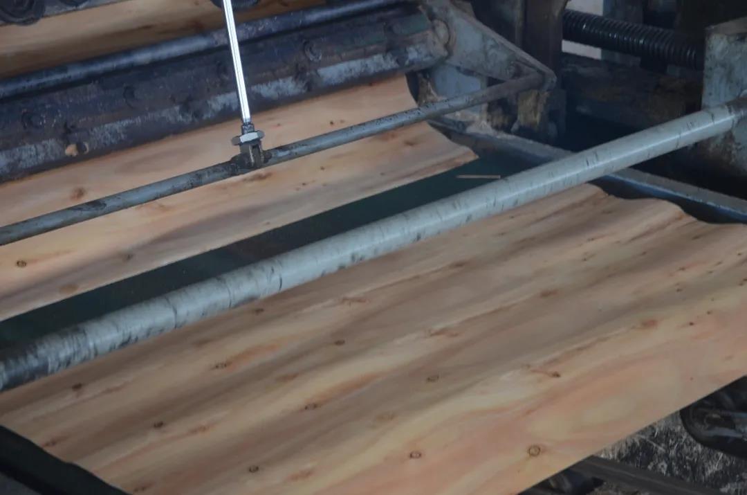 明星产品 | 华洲实木多层板诞生记!(图4)