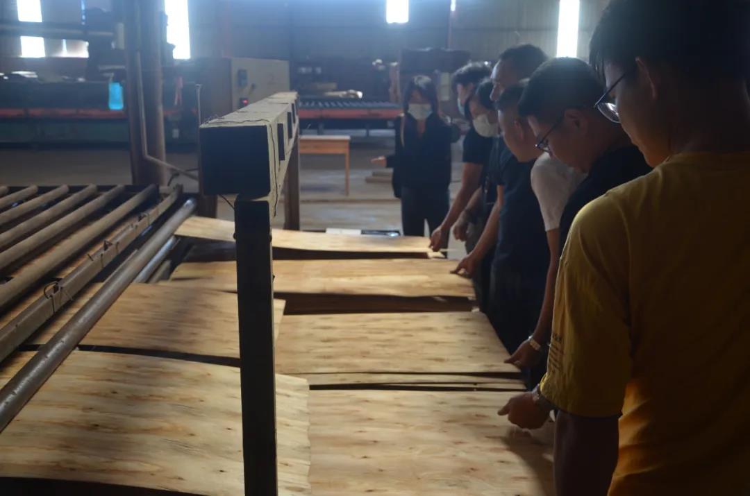 明星产品 | 华洲实木多层板诞生记!(图8)