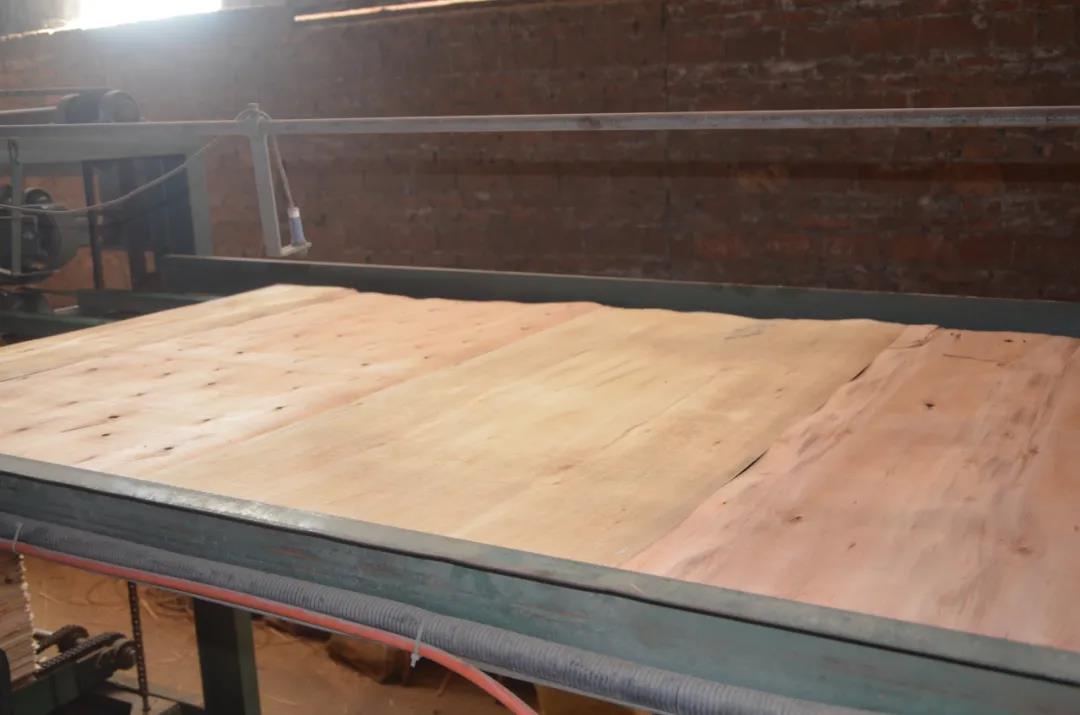 明星产品 | 华洲实木多层板诞生记!(图10)