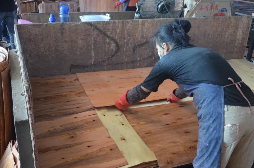 明星产品 | 华洲实木多层板诞生记!(图12)