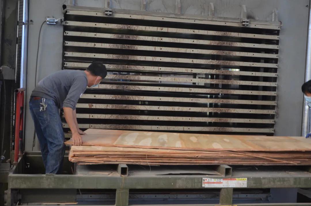 明星产品 | 华洲实木多层板诞生记!(图15)