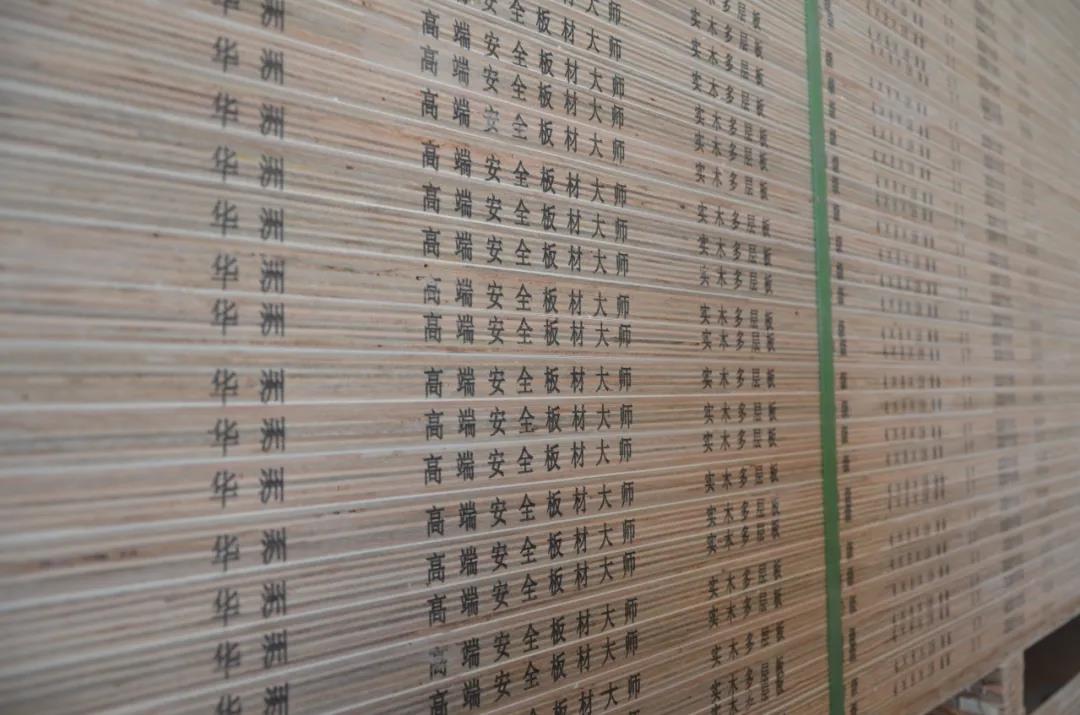 明星产品 | 华洲实木多层板诞生记!(图23)