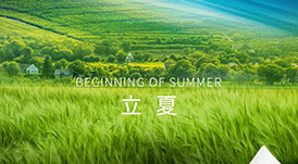 华洲木业 | 春意藏，夏初长