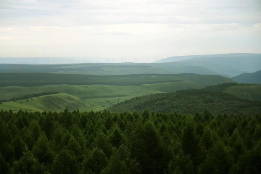 推荐 | 选华洲无醛添加实木颗粒板,让家人远离甲醛伤害!(图1)