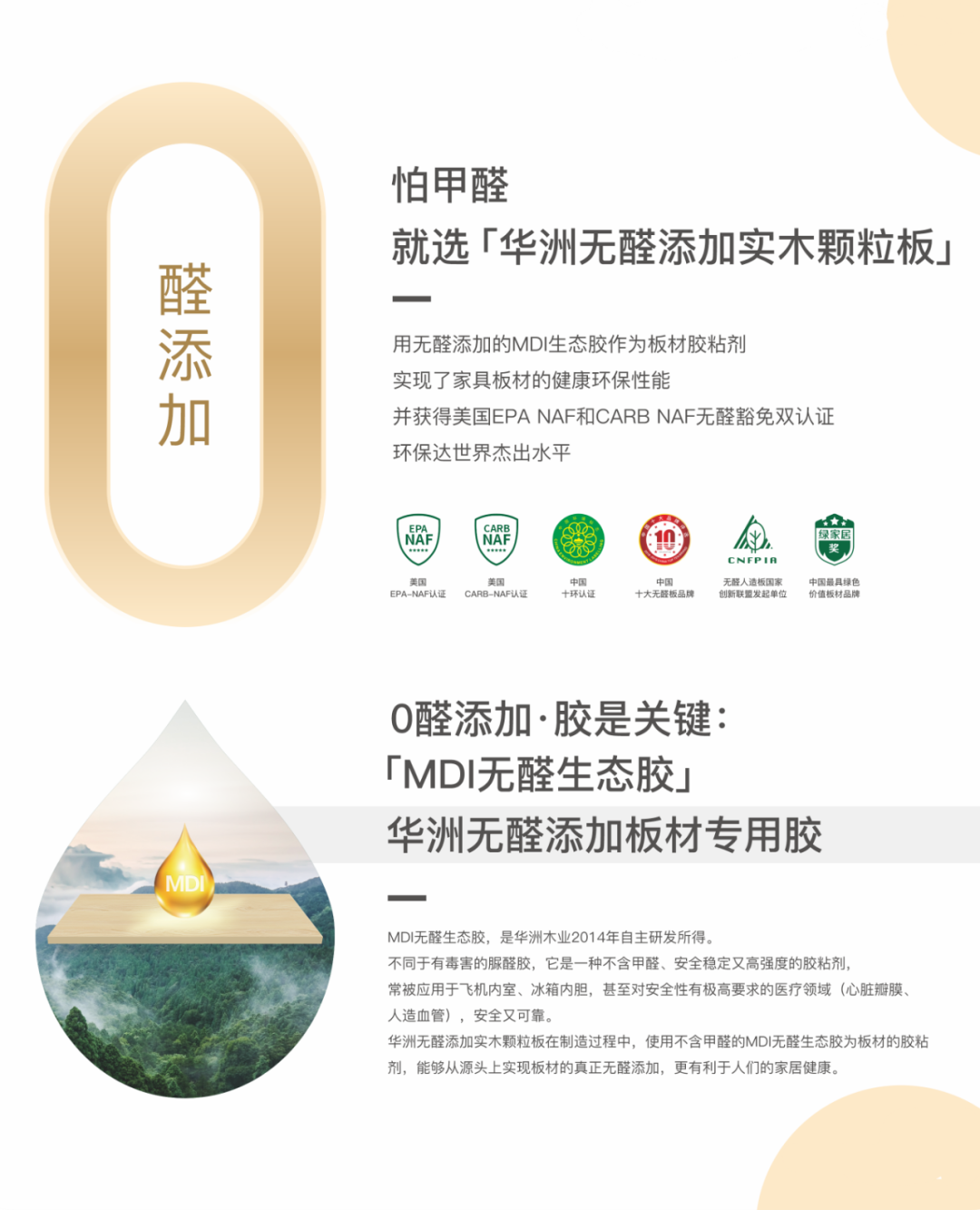 推荐 | 选华洲无醛添加实木颗粒板,让家人远离甲醛伤害!(图2)