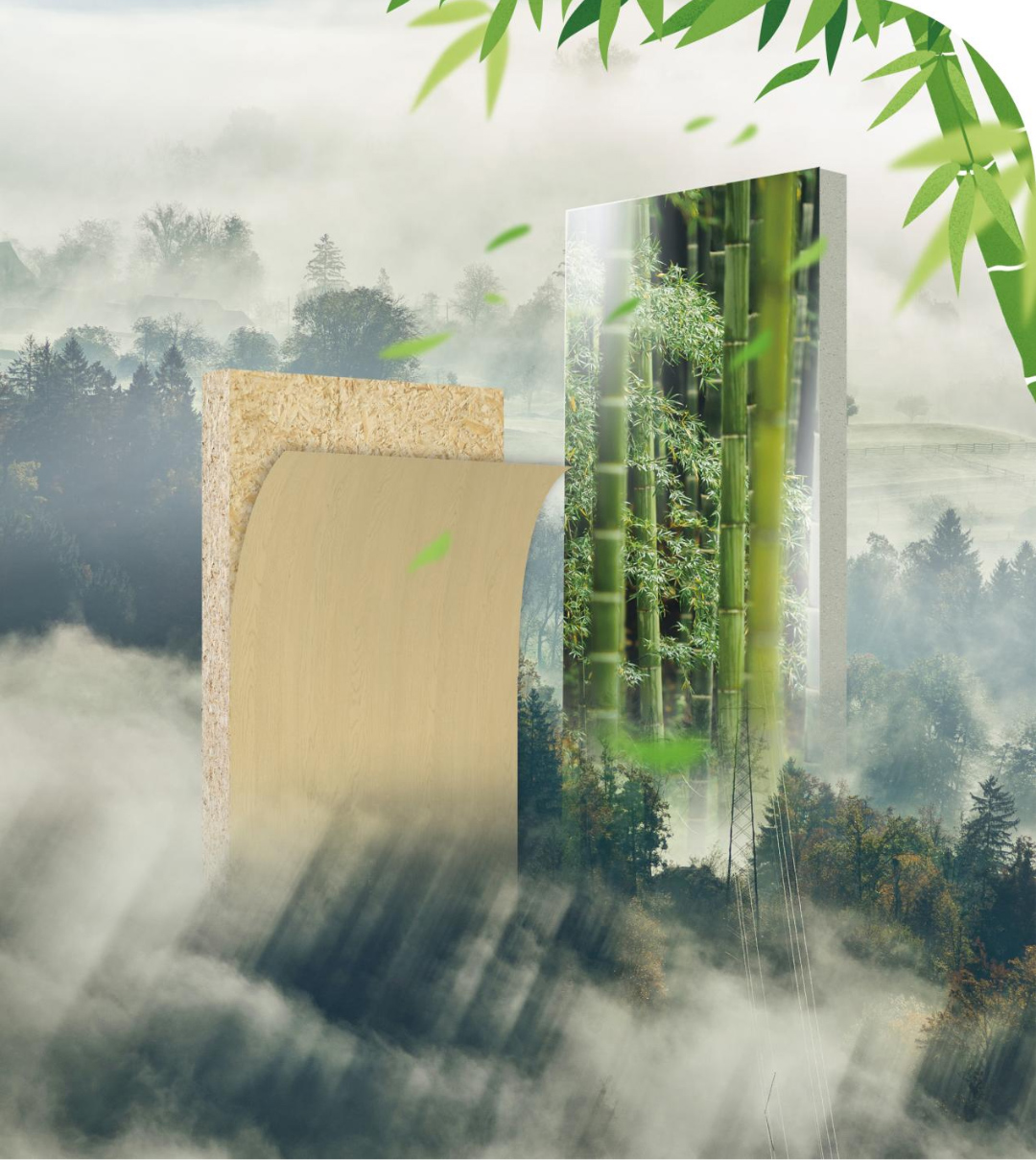 香港星光集团、华鹂生态、始兴县政府领导一行到访华洲木业考察交流(图5) 香港星光集团、华鹂生态、始兴县政府领导一行到访华洲木业考察交流(图5)