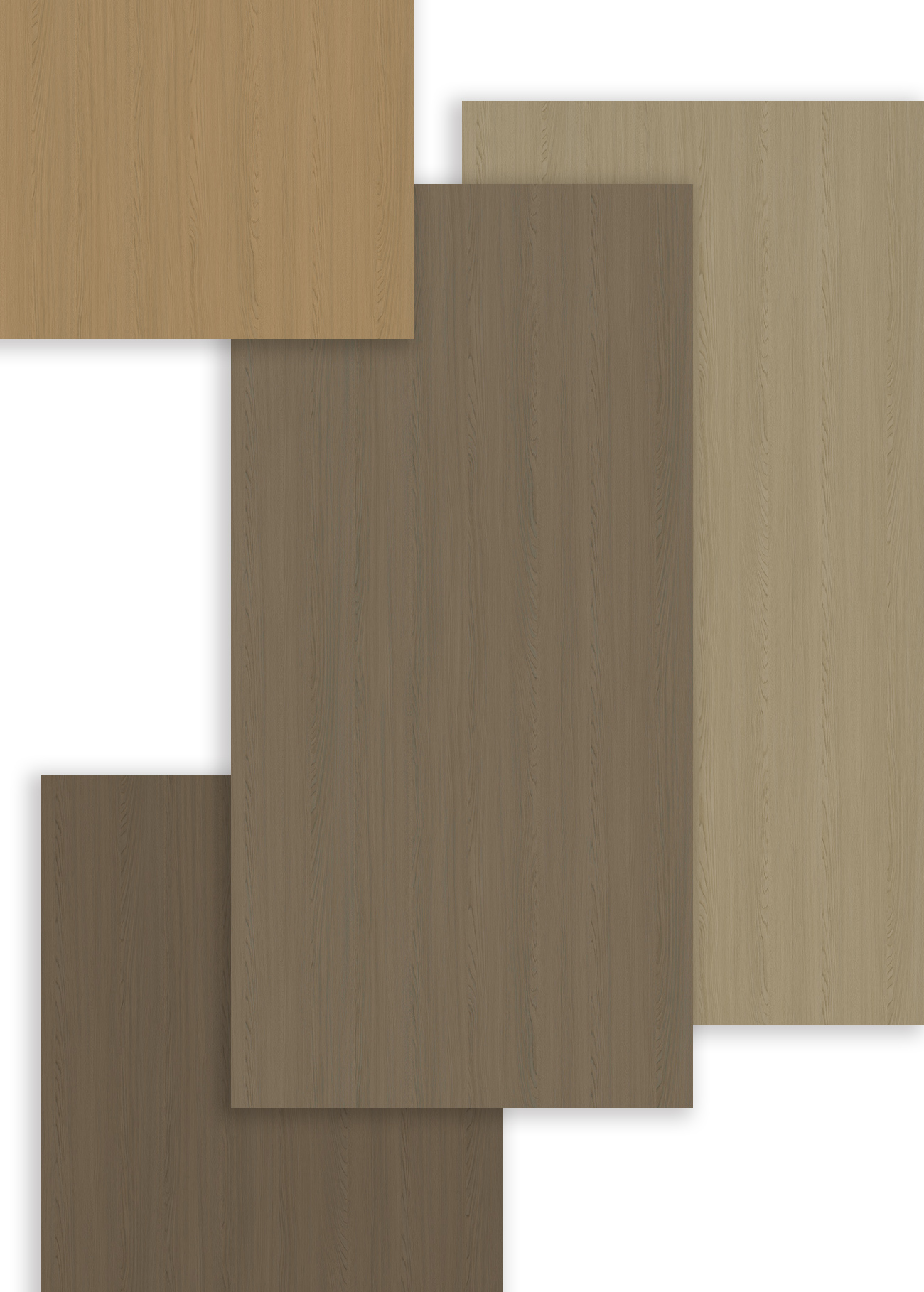 自然之歌的悠扬篇章——华洲同步木纹 ‖ 圣彼得堡榆木/黄榆/白榆/灰榆(图2) 自然之歌的悠扬篇章——华洲同步木纹 ‖ 圣彼得堡榆木/黄榆/白榆/灰榆(图2)