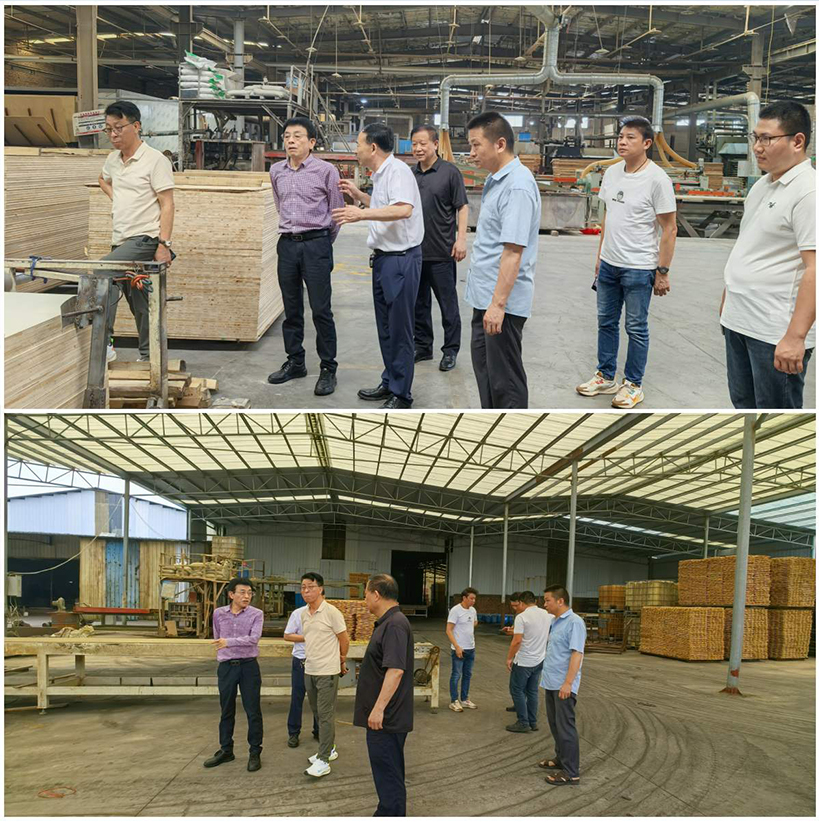 【绿色领航·智慧交融】华洲木业董事长率团深访钟氏木业,共谱江西绿色发展新篇章(图4) 【绿色领航·智慧交融】华洲木业董事长率团深访钟氏木业,共谱江西绿色发展新篇章(图4)