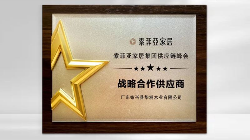 【品牌实力】华洲:创新引领,品质铸就传奇(图5) 【品牌实力】华洲:创新引领,品质铸就传奇(图5)