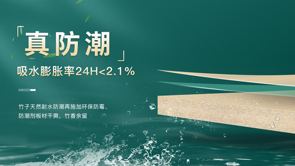 南方潮湿克星!柜子变身“防潮超人(图2) 南方潮湿克星!柜子变身“防潮超人(图2)