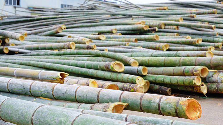 官网2.jpg 官网2.jpg