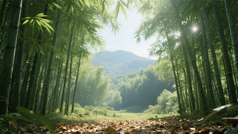 官网2.jpg 官网2.jpg